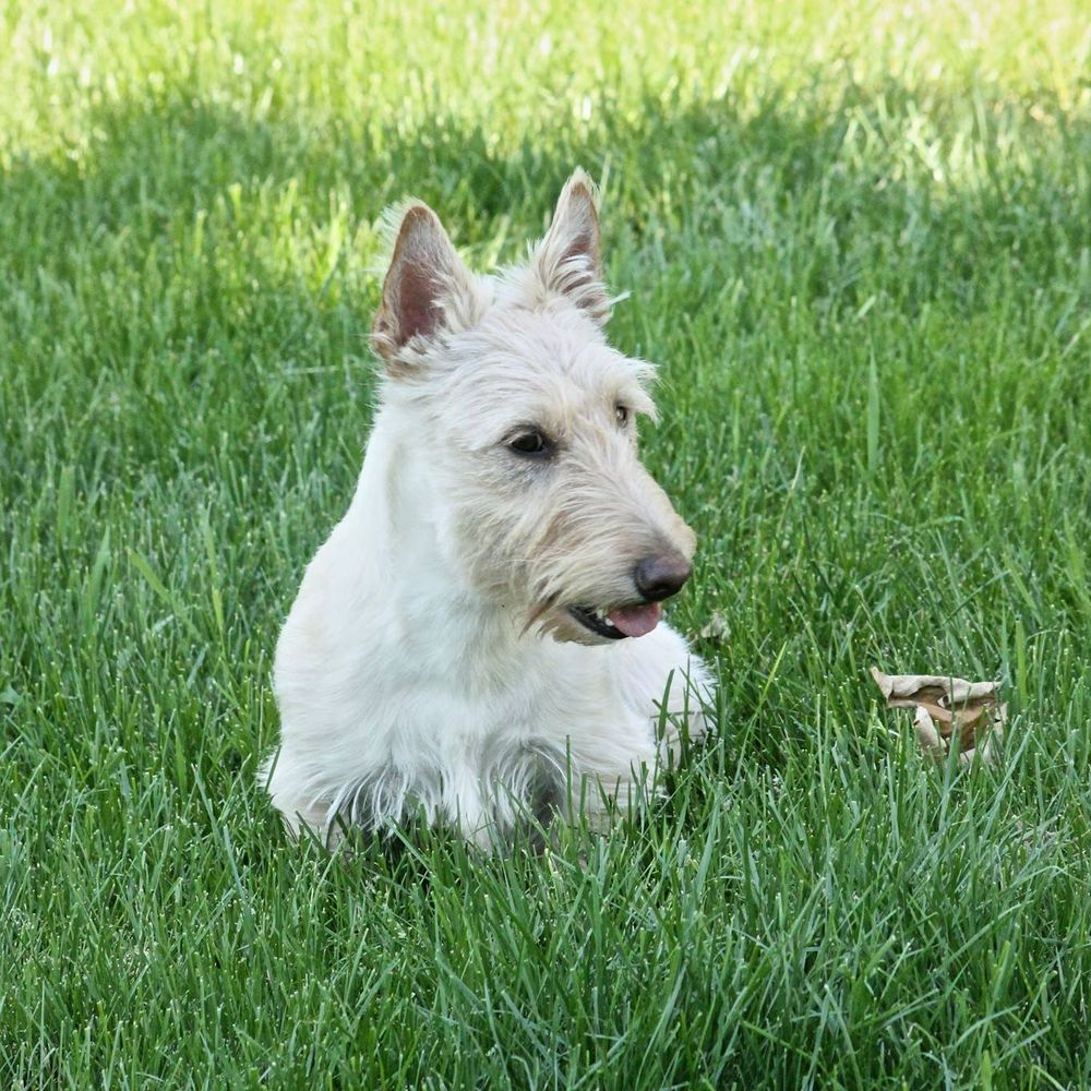 Meet your Posher, Melanie